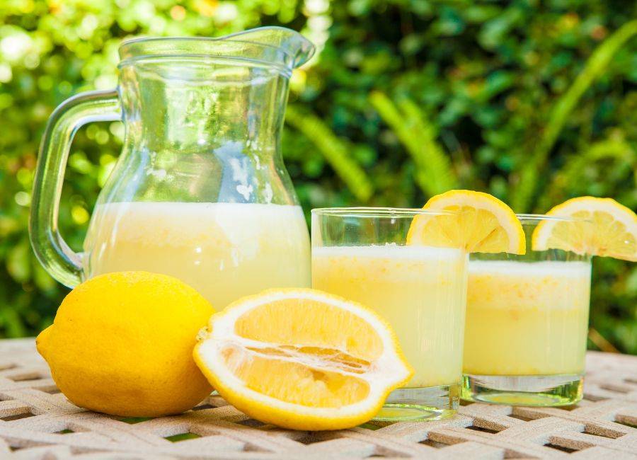 Zuckerfreie Limonade selbst machen